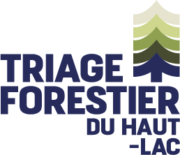 logo_triage_2023_coul