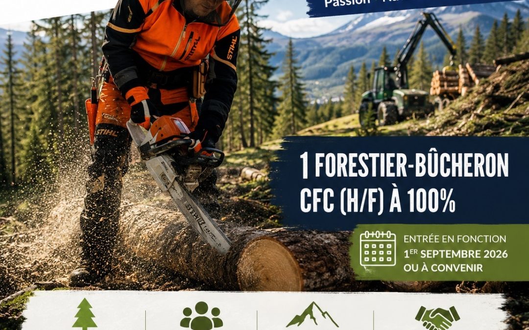 Offre d’emploi